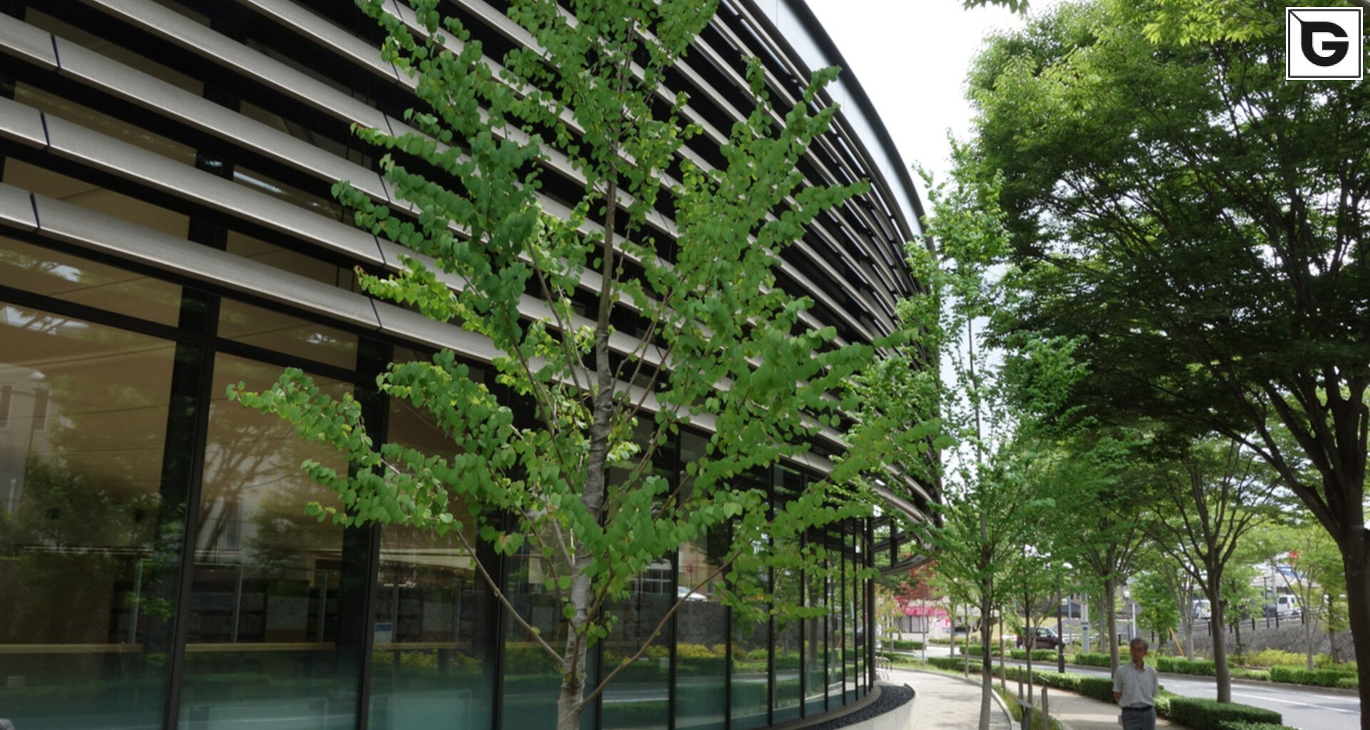 Institutionelle Einrichtungen_Horizontal Sonnenschutz, jalousien_Gebogene Profilen