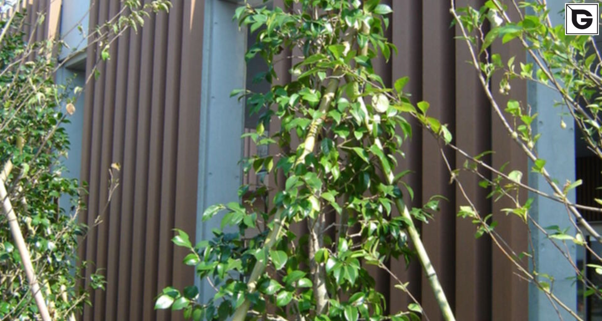 Wohngebäude_Vertical Sonnenschutz, jalousien_Krankenhaus, Arztpraxis